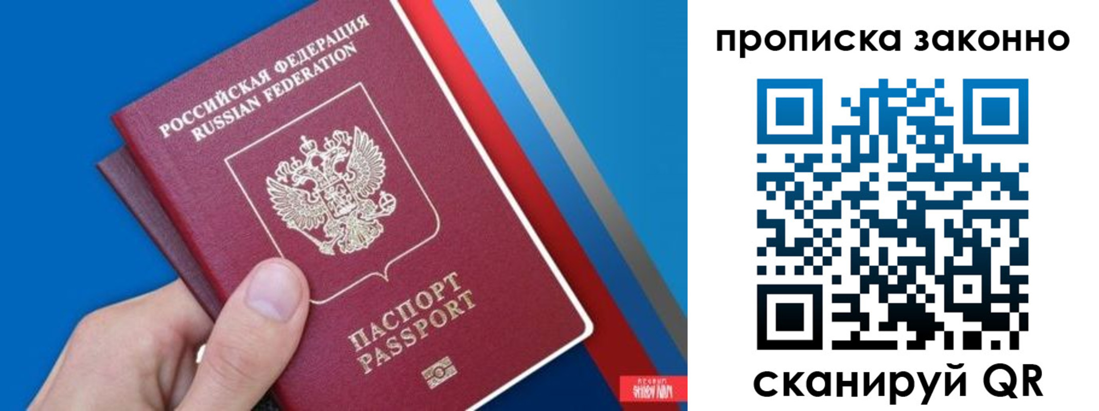 пропишу в квартире в Курской области